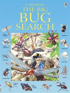 The Big Bug Search Book