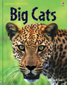Internet Linked Big Cats