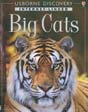 Internet Linked Big Cats