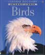 Internet Linked Birds
