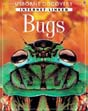 Internet Linked Bugs