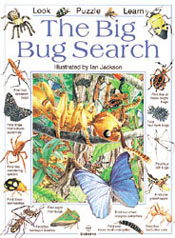 The Big Bug Search Book