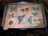 butterfly crafts for kid