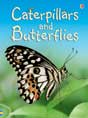 caterpillars and butterflies