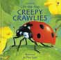 creepy bugs book - lift the flap