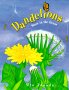 dandelions