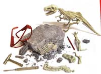 dinosaur-excavation-dirt.jpg