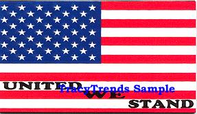 American Flag Magnet - United We Stand