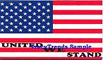 United We Stand - American Flag Magnet