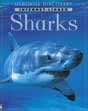 shark books