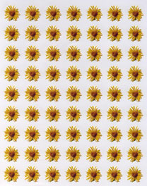 Sunflower Flower Sticker
