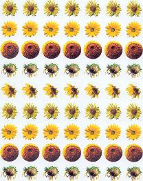 Sunflower Stickers