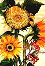 Sunflower Greeting Card