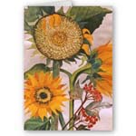 sunflower cards