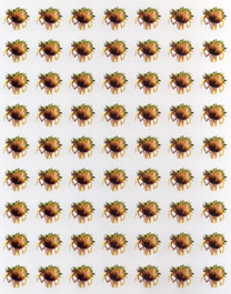 Sunflower Flower Sticker