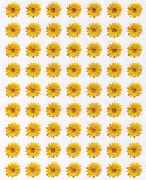 Sunflower Flower Sticker