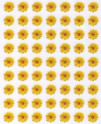 Sunflower Flower Sticker
