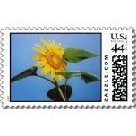 sunflower seed postage stamp