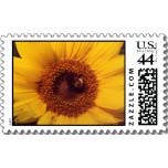 multiple sunflower postage stamp