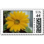 sunflower postage stamp