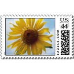 multiple sunflower postage stamp