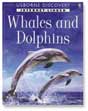 Internet Linked Whales and Dolphins