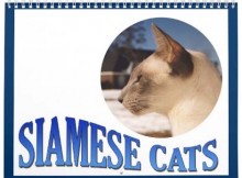 cat_calendar
