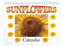 sunflower-flower-calendar-photography-tracy-foote